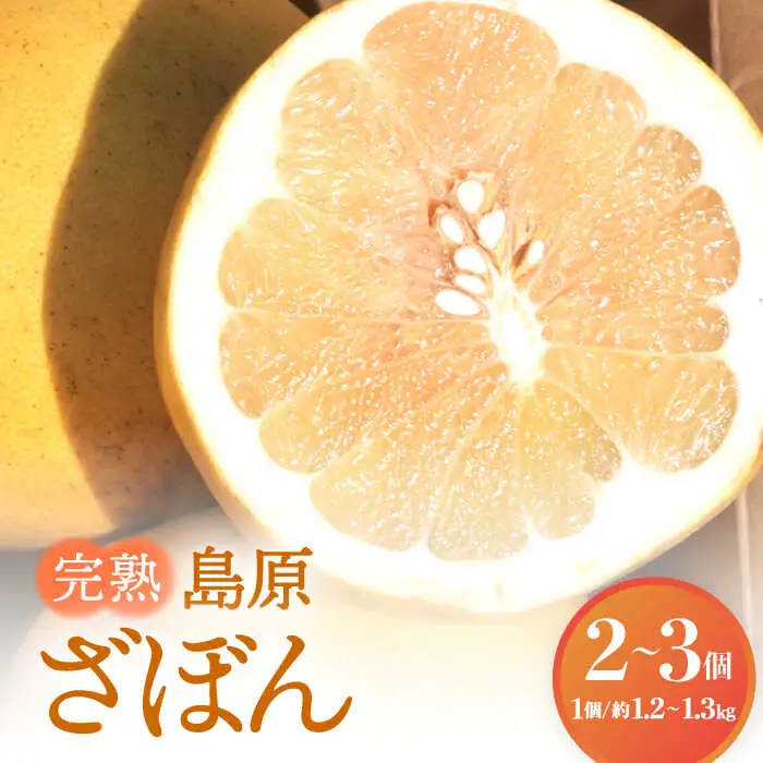 【2026年12月中旬-発送】完熟 島原ざぼん 2-3個  [SAG008] ざぼん