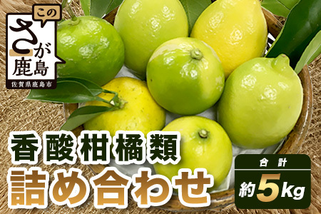  香酸柑橘類詰め合わせ 約５ｋｇ（リスボンレモン・キノス・げんこう・レモン） B-366