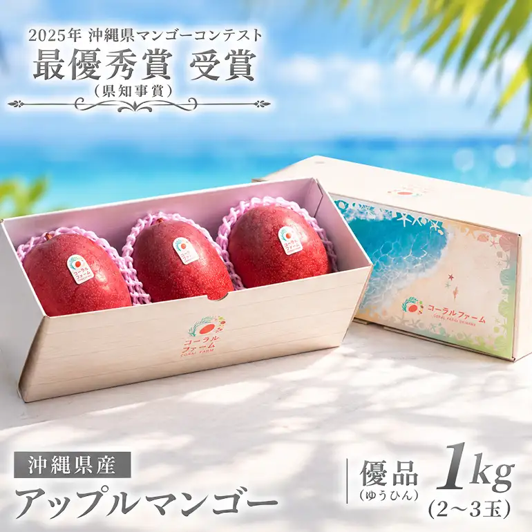 【 先行予約 2027年 発送 】コーラルファーム アップルマンゴー 1kg (2～3玉) 優品 沖縄県産 マンゴー アーウィンマンゴー 1キロ 国産 完熟マンゴー 果物 くだもの フルーツ 完熟 夏 沖縄 お取り寄せ ギフト 産地直送 農家直送 糸満市