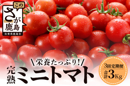 【3回定期便】【先行受付】2027年1月より順次発送予定|完熟ミニトマト 1kg｜ミニトマト トマト プチトマト 農家直送 ギフト 人気 佐賀県鹿島市 たにぐちファーム Ricotomato（リコトマト）～とりこになるトマト～  E-68