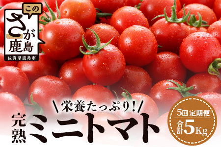 【5回定期便】【先行受付】2027年1月より順次発送予定|完熟ミニトマト 1kg｜ミニトマト トマト プチトマト 農家直送 ギフト 人気 佐賀県鹿島市 たにぐちファーム Ricotomato（リコトマト）～とりこになるトマト～ G-27