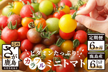 【6回定期便】【先行受付】2027年1月より順次発送 カラフルミニトマト6種 1kg ミニトマト プチトマト 定期便 農家直送 たにぐちファーム Ricotomato～とりこになるトマト～ H-11