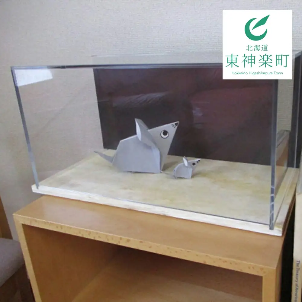 コレクションケース