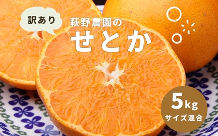 せとか 訳あり 萩野農園のせとか 5kg サイズ混合【mhn001】