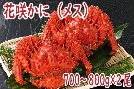【北海道根室産】花咲かに(メス)700～800g×2尾 B-19001