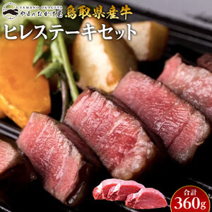 18.鳥取県産牛 ヒレ ステーキ セット 3枚 計360g  | ステーキ