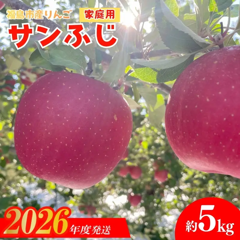 No.2437 訳あり 葉とらずりんご  サンふじ ご家庭用 約5kg【2026年度発送】