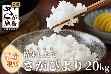 【数量限定】令和5年産 佐賀県鹿島市産 さがびより 白米20kg お米マイスターセレクト！ D-105