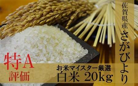 D-11 令和7年産米 佐賀県産 さがびより 白米２０ｋｇ【16年連続 特A評価】