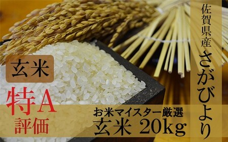 D-12 令和7年産 佐賀県産さがびより 玄米20kg【16年連続 特A評価】