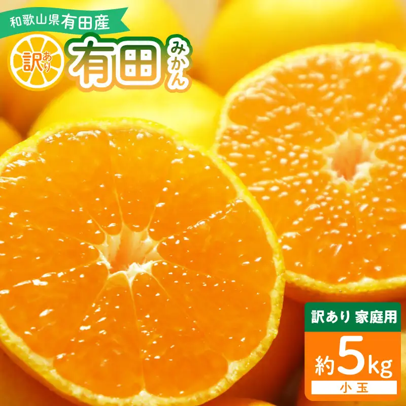 和歌山県産 有田みかん【訳あり 家庭用】約5kg 小玉 3S～Sサイズ_DI6018n