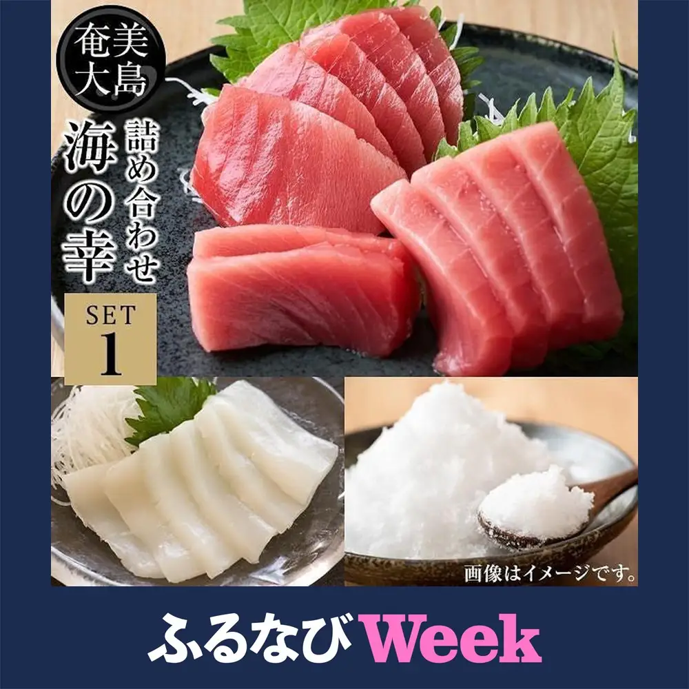 【ふるなびWEEK対象】【奄美大島 瀬戸内町】海の幸　詰め合わせセット１（黒マグロ・ソデイカ・加計呂麻の塩）