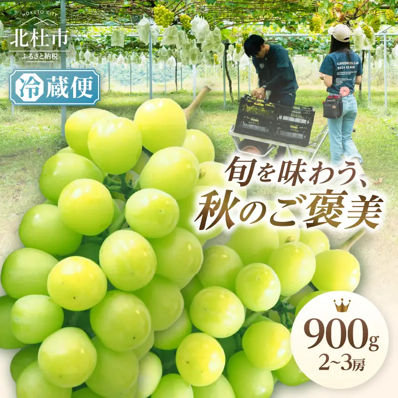 【2026年発送】【期間限定】八ヶ岳南麓の天然水で育てたシャインマスカット 900g（2～3房)  [h198]