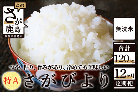 無洗米 さがびより 10kg 定期便 12回（12か月） 佐賀県産 N-14