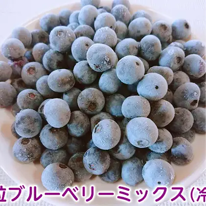 ブルーベリー 大粒 ミックス フルーツ ブルーベリー 【冷凍】