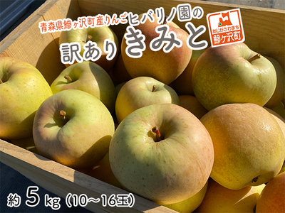りんご きみと 訳あり ヒバリノ園 青森県産 りんご【約5kg 10〜16玉】
