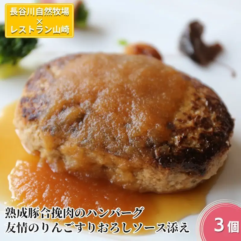 ハンバーグ 熟成豚合挽肉 りんごソース 長谷川自然牧場 ハンバーグ【3個】【冷凍】