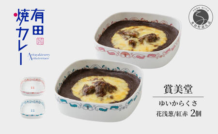 有名窯元 賞美堂 × 有田焼カレー うつわ付き 2個【プレアデス】有田焼 うつわ 器 食器 カレー スパイス 佐賀県産米 人気 お取り寄せ 冷凍 ギフト プレゼント 贈り物 al026
