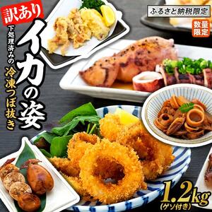 イカ 訳あり ゲソ付き 冷凍 スルメイカ 山口県産 1.2kg
