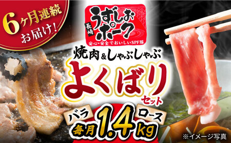 【6回 定期便 】長崎うずしおポーク 焼肉 ＆ しゃぶしゃぶ セット 1.4kg 訳あり＜スーパーウエスト＞ [CAG096] 焼肉 焼き肉 焼肉 豚 しゃぶしゃぶ 焼肉 豚肉