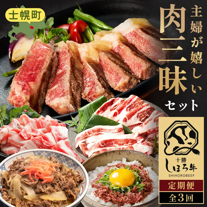 主婦が嬉しい 肉三昧セット 定期便 全３回 北海道十勝士幌町 【L904】主婦が嬉しい 肉三昧 セット 定期便