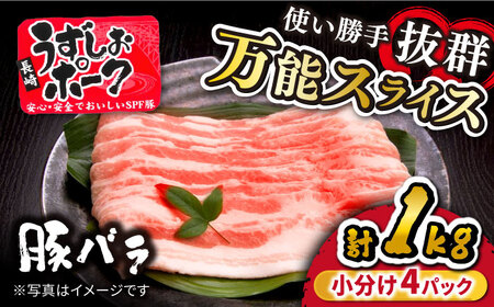 豚 スライス 1kg 訳あり CAG226 豚 スライス