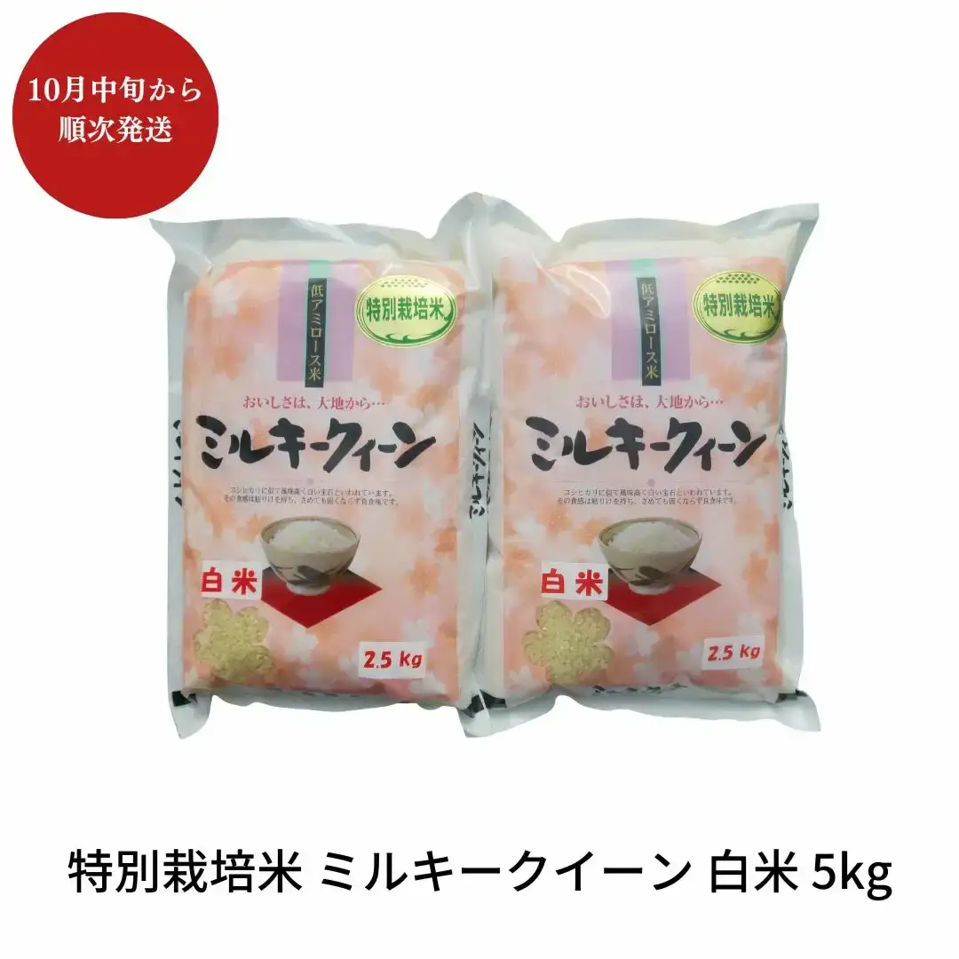 先行予約 特別栽培米 ミルキークイーン 白米 5kg 新潟県産 令和8年 [佐藤農産有機センター]【010S224】