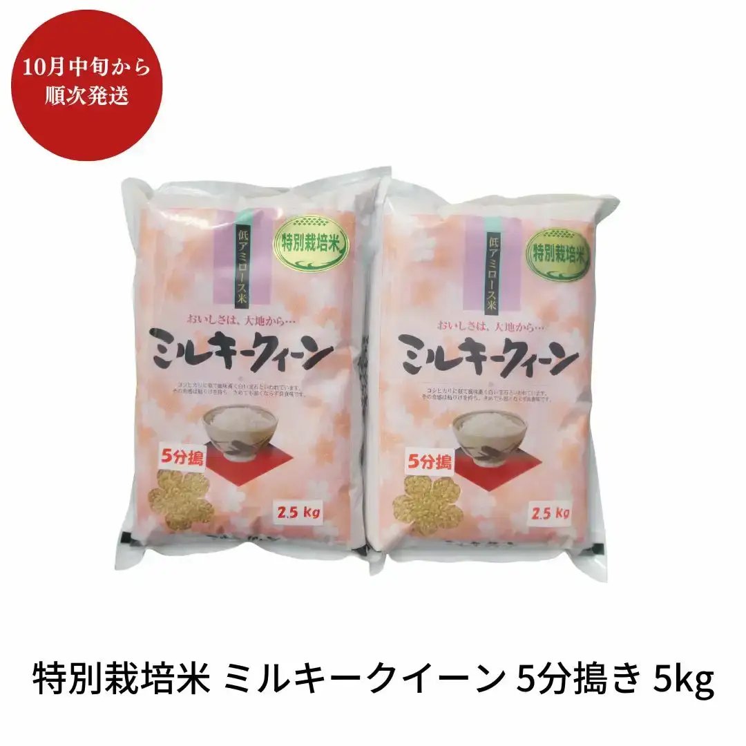 先行予約 特別栽培米 ミルキークイーン 5分搗き 5kg 新潟県産 令和8年 [佐藤農産有機センター]【010S225】