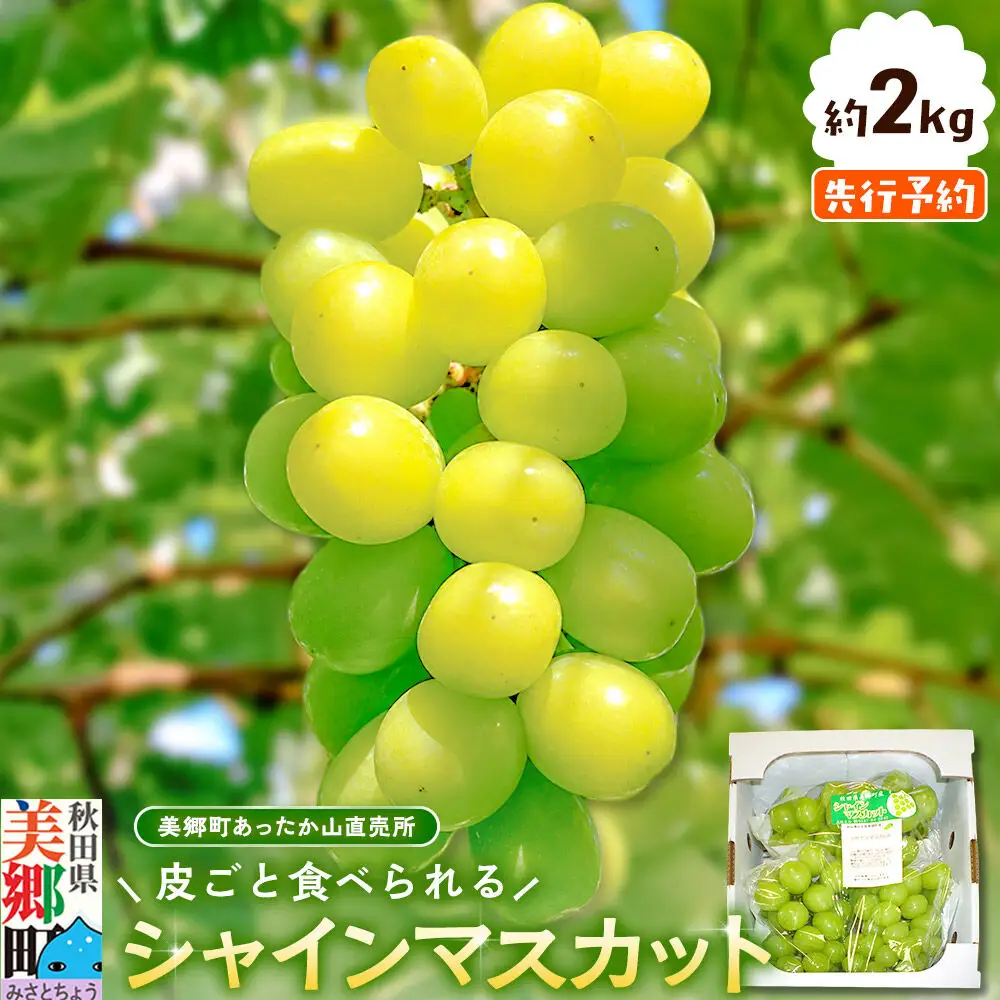 【先行受付】シャインマスカット 約2kg