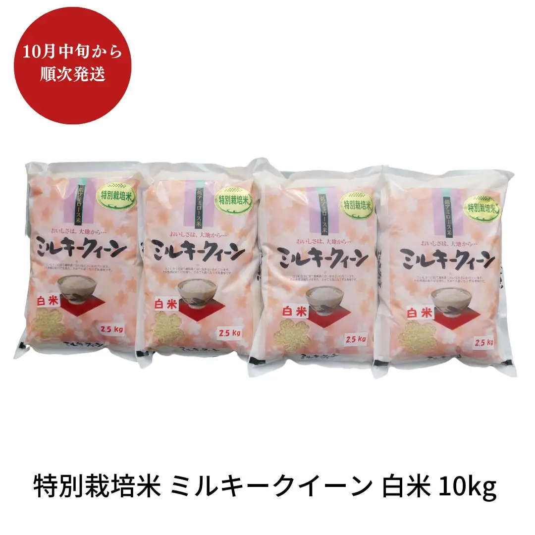 先行予約 特別栽培米 ミルキークイーン 白米 10kg 新潟県産 令和8年 [佐藤農産有機センター]【018S019】