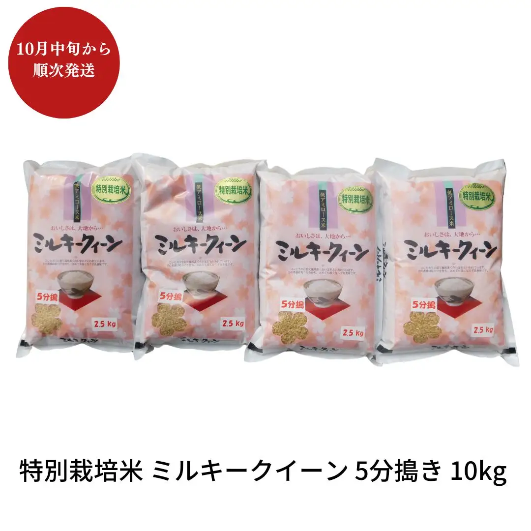先行予約 特別栽培米 ミルキークイーン 5分搗き 10kg 新潟県産 令和8年 [佐藤農産有機センター]【018S020】