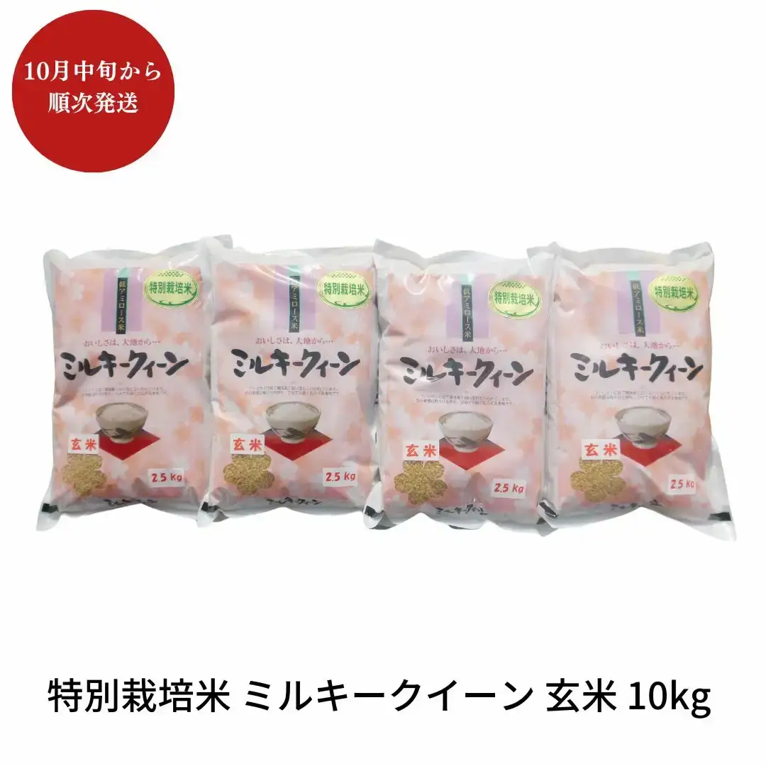 先行予約 特別栽培米 ミルキークイーン 玄米 10kg 新潟県産 令和8年 [佐藤農産有機センター]【017S019】