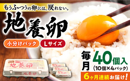 6回定期便 地養卵 Lサイズ 40個 [CBB003] 卵