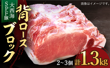 大西海SPF豚 背ロースブロック 訳あり ＜大西海ファーム＞CCY027 豚肉 ブロック 豚肉 ブロック 豚肉 ブロック 豚肉 ブロック