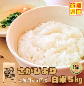 CID39_【５回定期便】さがびより白米５kg 【五つ星お米マイスター厳選！】