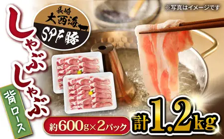 国産豚 シャブシャブ用 計1.2kg 訳あり CEK037 背ロース