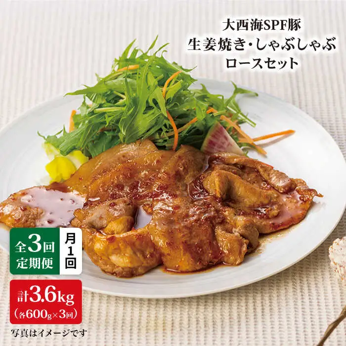 【3回定期便】大西海SPF豚 背ロース しょうが焼き用＆しゃぶしゃぶ用 計1.2kg 訳あり ＜大西海ファーム＞ [CEK042]  豚肉