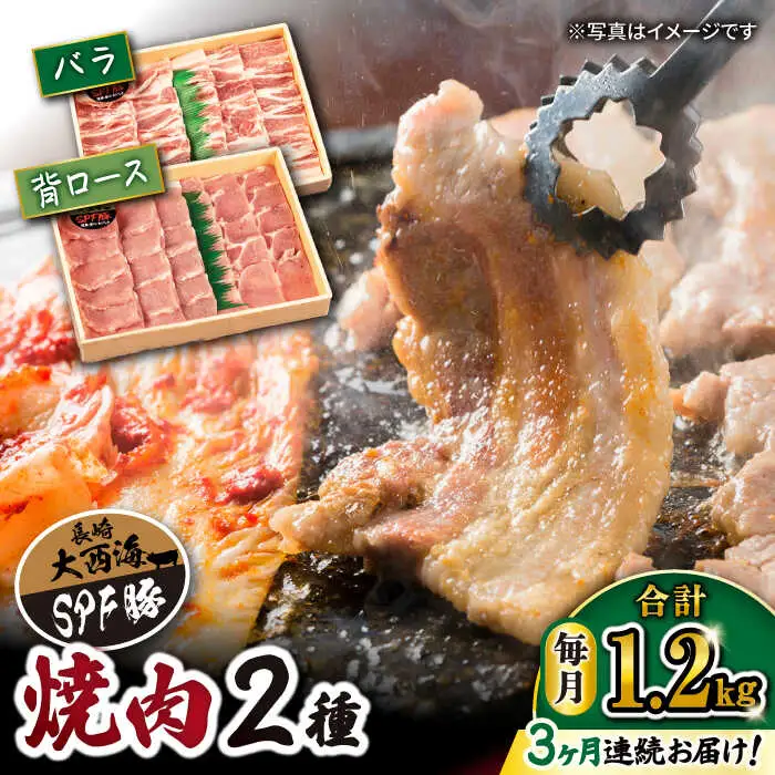 【3回 定期便 】 焼肉 豚 大西海 SPF豚 背ロース ＆ バラ （ 焼肉 用）計1.2kg（各600g）焼肉 焼肉 肉 食品 肉類 国産 豚肉 食べ比べ こだわり セット 甘み 旨み 豚バラ バラ肉 豚ロース 贈答 ギフト SPF豚  訳あり ＜大西海ファーム＞ [CEK044]
