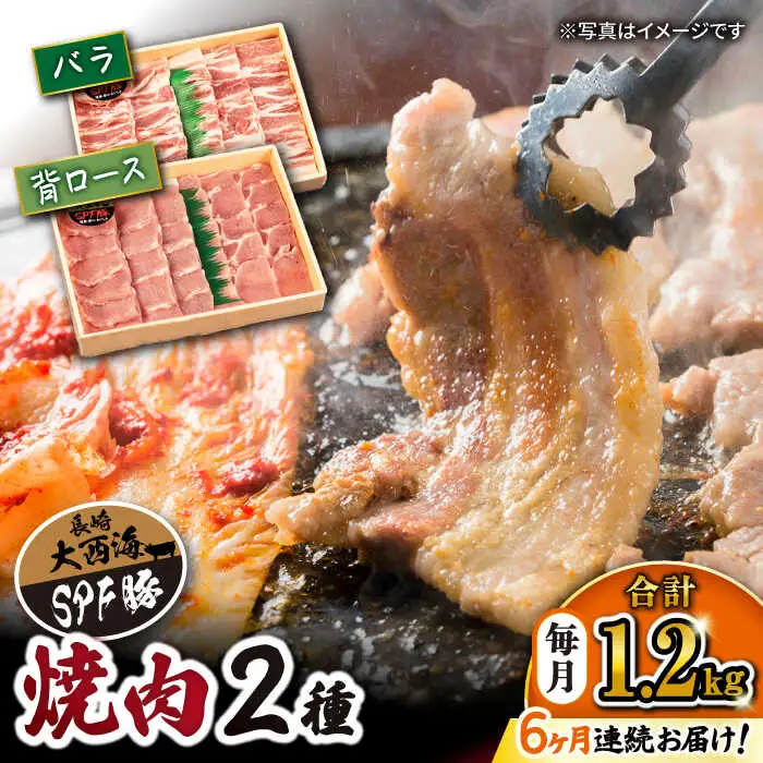 【6回 定期便 】 焼肉 豚 大西海 SPF豚 背ロース ＆ バラ （ 焼肉 用）計1.2kg（各600g） 焼肉 肉 食品 肉類 国産 豚肉 食べ比べ こだわり セット 甘み 旨み 豚バラ バラ肉 豚ロース 贈答 ギフト SPF豚 訳あり ＜大西海ファーム＞ [CEK045]