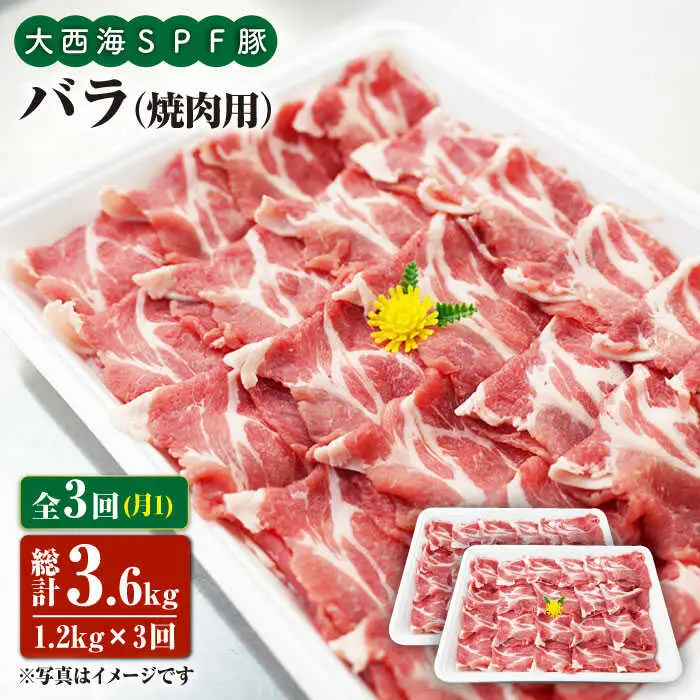【6回定期便】大西海SPF豚 バラ（焼肉用）計1.2kg 訳あり ＜大西海ファーム＞ [CEK082]