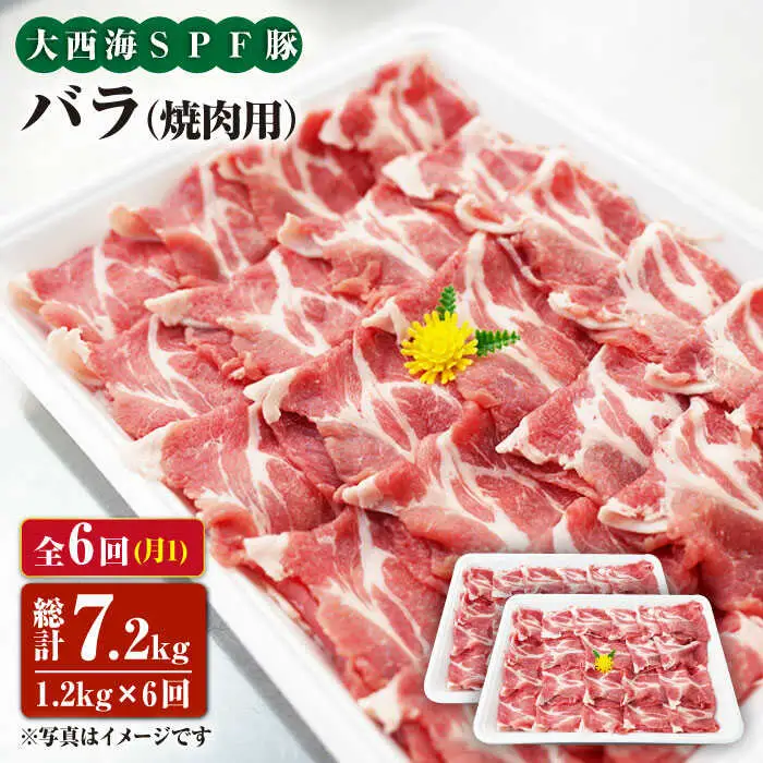 【6回定期便】大西海SPF豚 バラ（焼肉用）計1.2kg＜大西海ファーム [CEK083]