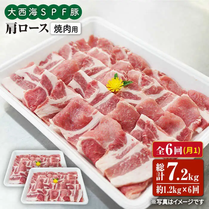 6回定期便 大西海SPF豚 肩ロース 焼肉 計1.2kg 訳あり ＜大西海ファーム＞ [CEK091] 焼肉