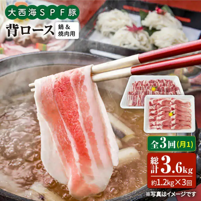 【6回定期便】大西海SPF豚 背ロース（焼肉＆しゃぶしゃぶ用）計1.2kg 訳あり ＜大西海ファーム＞ [CEK098]