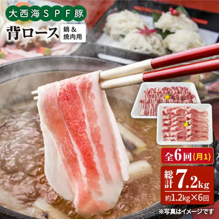 【6回定期便】大西海SPF豚 背ロース（焼肉＆しゃぶしゃぶ用）計1.2kg 訳あり ＜大西海ファーム＞ [CEK099]