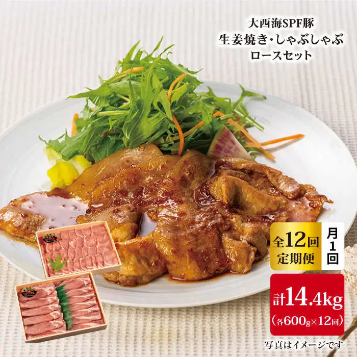 【6回定期便】大西海SPF豚 背ロース しょうが焼き用＆しゃぶしゃぶ用 計1.2kg 訳あり ＜大西海ファーム＞ [CEK101]