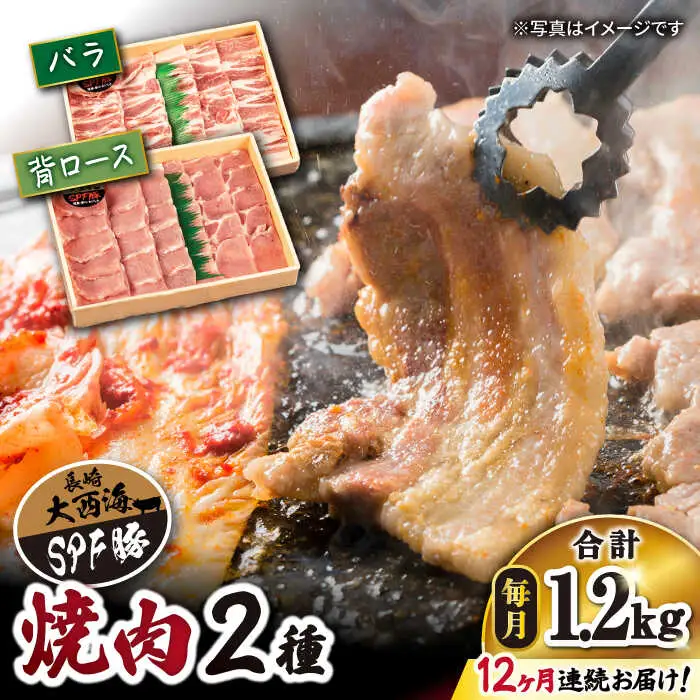 【12回 定期便 】 大西海 SPF豚 背ロース ＆ バラ（ 焼肉 用）計1.2kg（各600g） ＜大西海ファーム＞ [CEK102]