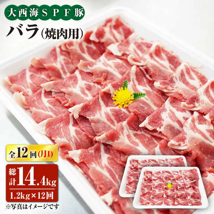 【6回定期便】大西海SPF豚 バラ（焼肉用）計1.2kg 訳あり ＜大西海ファーム [CEK121]