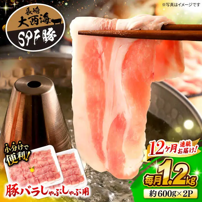 12回定期便 国産豚シャブシャブ用 計1.2kg 訳あり CEK122
