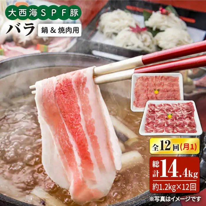 【6回定期便】大西海SPF豚 バラ（焼肉＆しゃぶしゃぶ用）計1.2kg 訳あり ＜大西海ファーム＞ [CEK123]