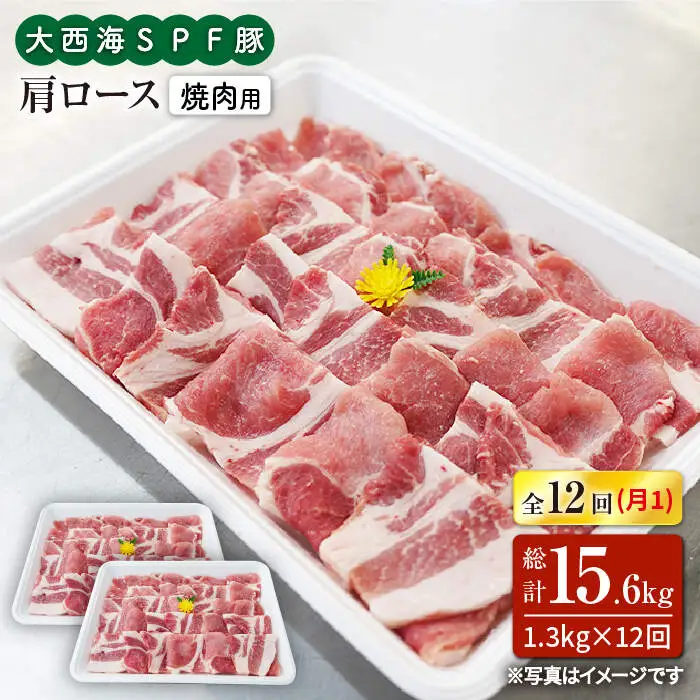 12回定期便 大西海SPF豚 肩ロース 焼肉 計1.2kg 訳あり ＜大西海ファーム＞CEK125 焼肉